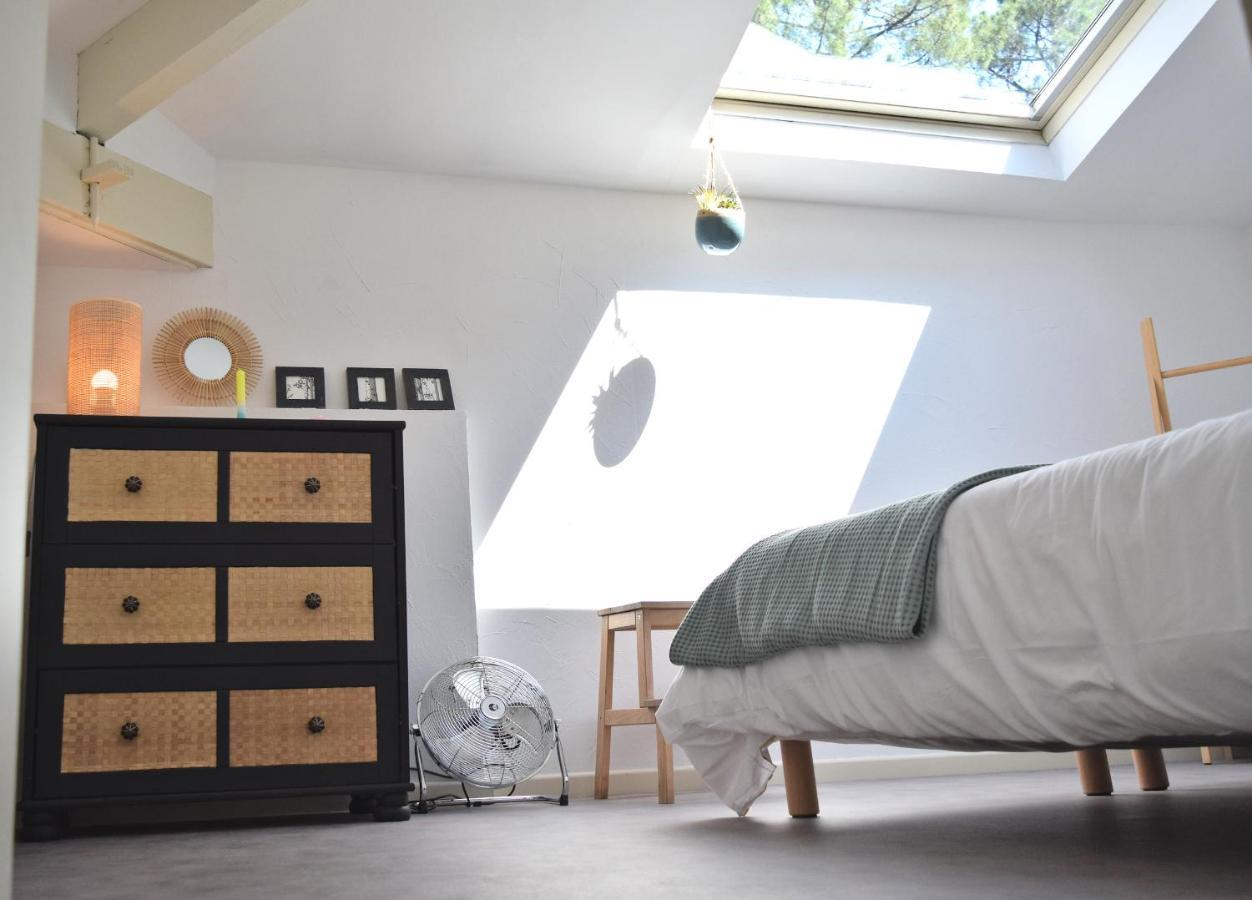 Julia Blue, Villa Hostal Naou Hossegor - Sauna - Salle De Sport - Wifi - Netflix سورت-هوسيغور المظهر الخارجي الصورة