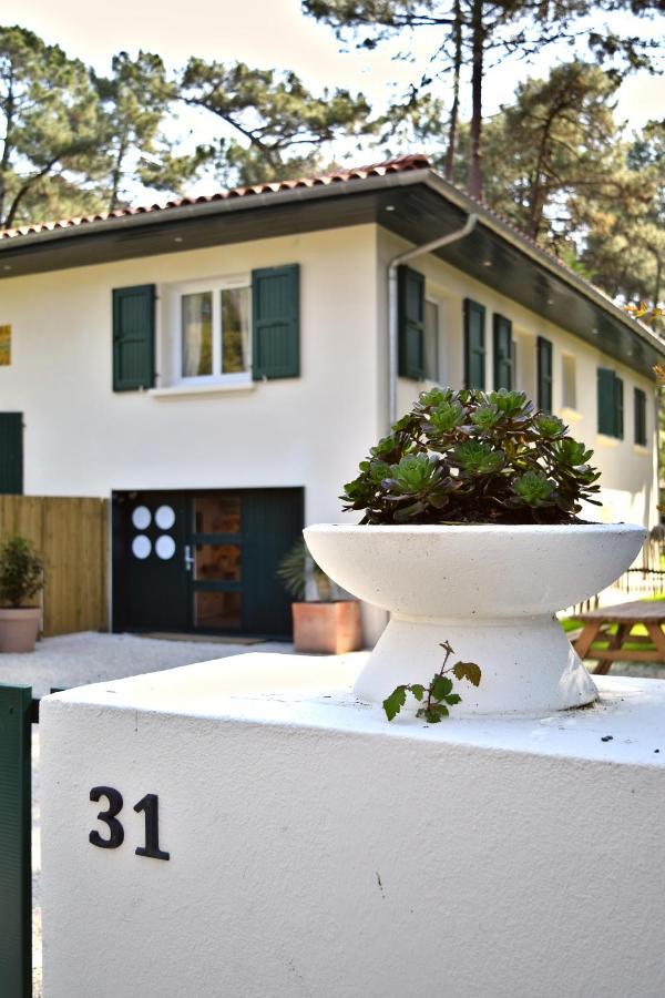 Julia Blue, Villa Hostal Naou Hossegor - Sauna - Salle De Sport - Wifi - Netflix سورت-هوسيغور المظهر الخارجي الصورة